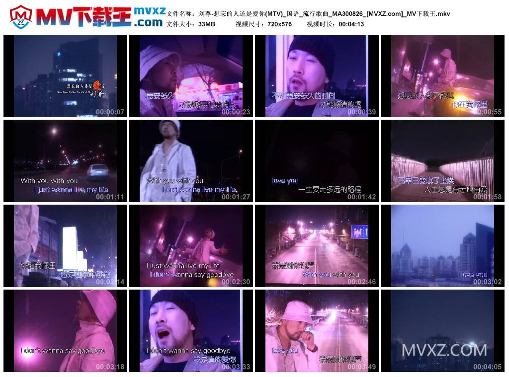 刘尊-想忘的人还是爱你(MTV)_国语_流行歌曲_MA300826